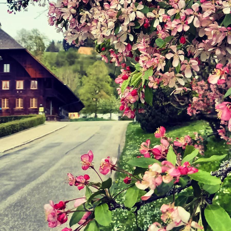 Emme Lodge Langnau Exteriör bild