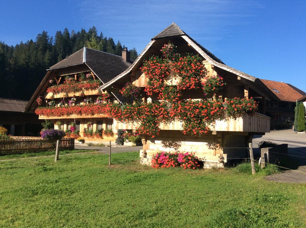 Emme Lodge Langnau Exteriör bild