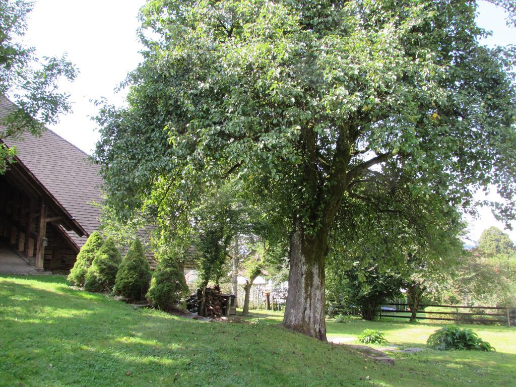 Emme Lodge Langnau Exteriör bild